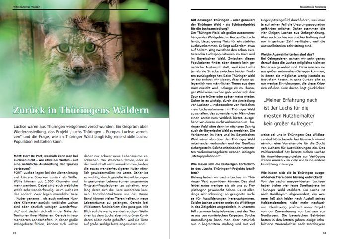 Interview Mitteldeutsches Magazin: Luchse in Thüringen