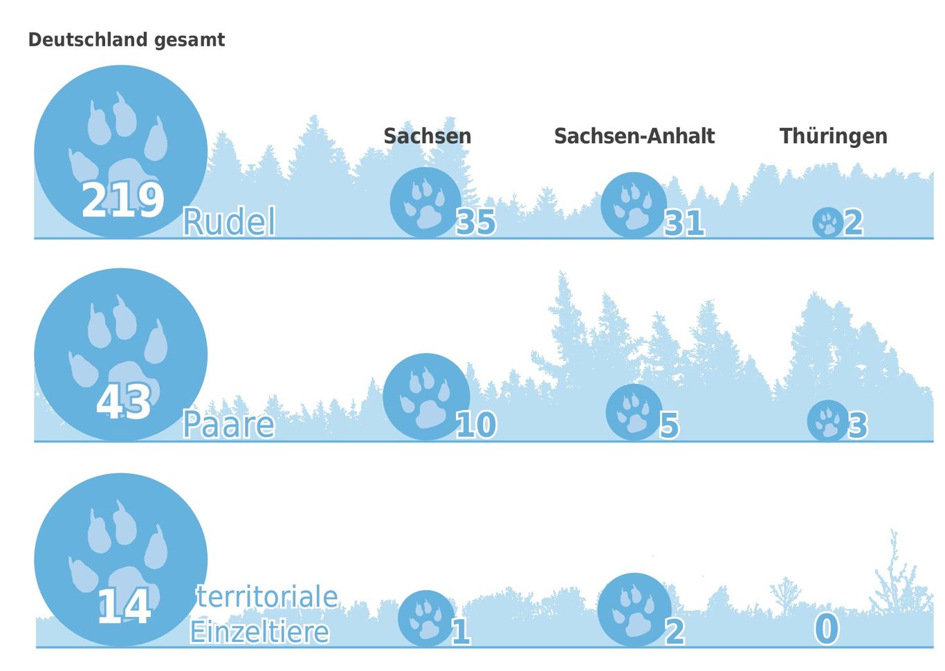 Infografik zeigt Zahlen zur Wolfspopulation in Sachsen, Sachsen-Anhalt und Thüringen im Vergleich zu Gesamtdeutschland.