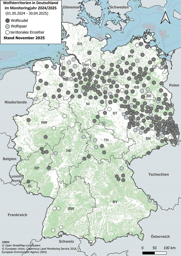 Karte zeigt Wolfsterritorien in Deutschland