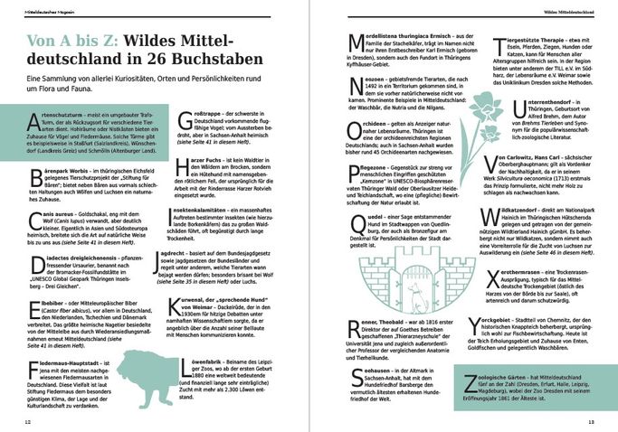 Mitteldeutsches Magazin 2026: ABC der Wildnis